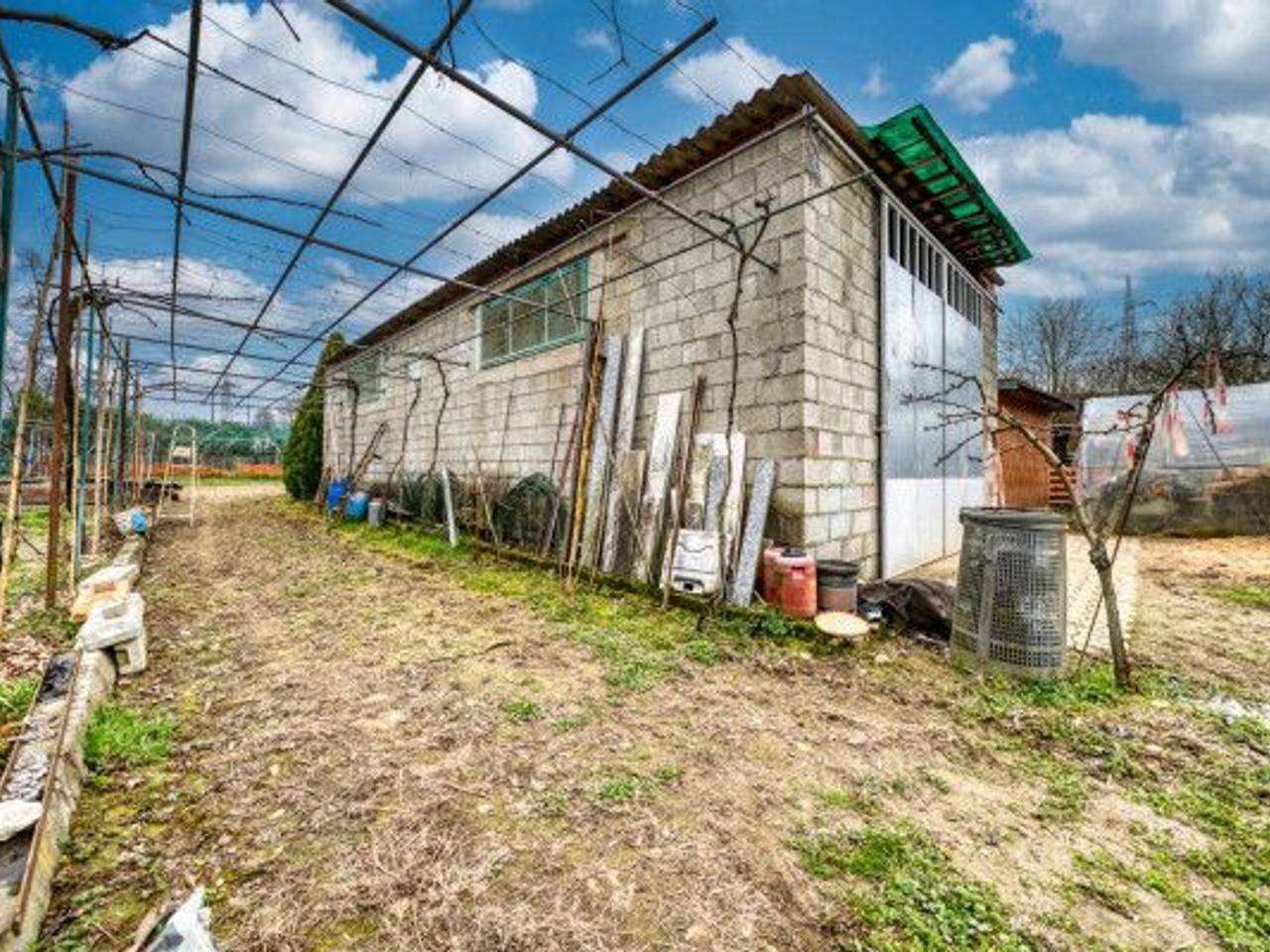 immagine annuncio 6 di 15