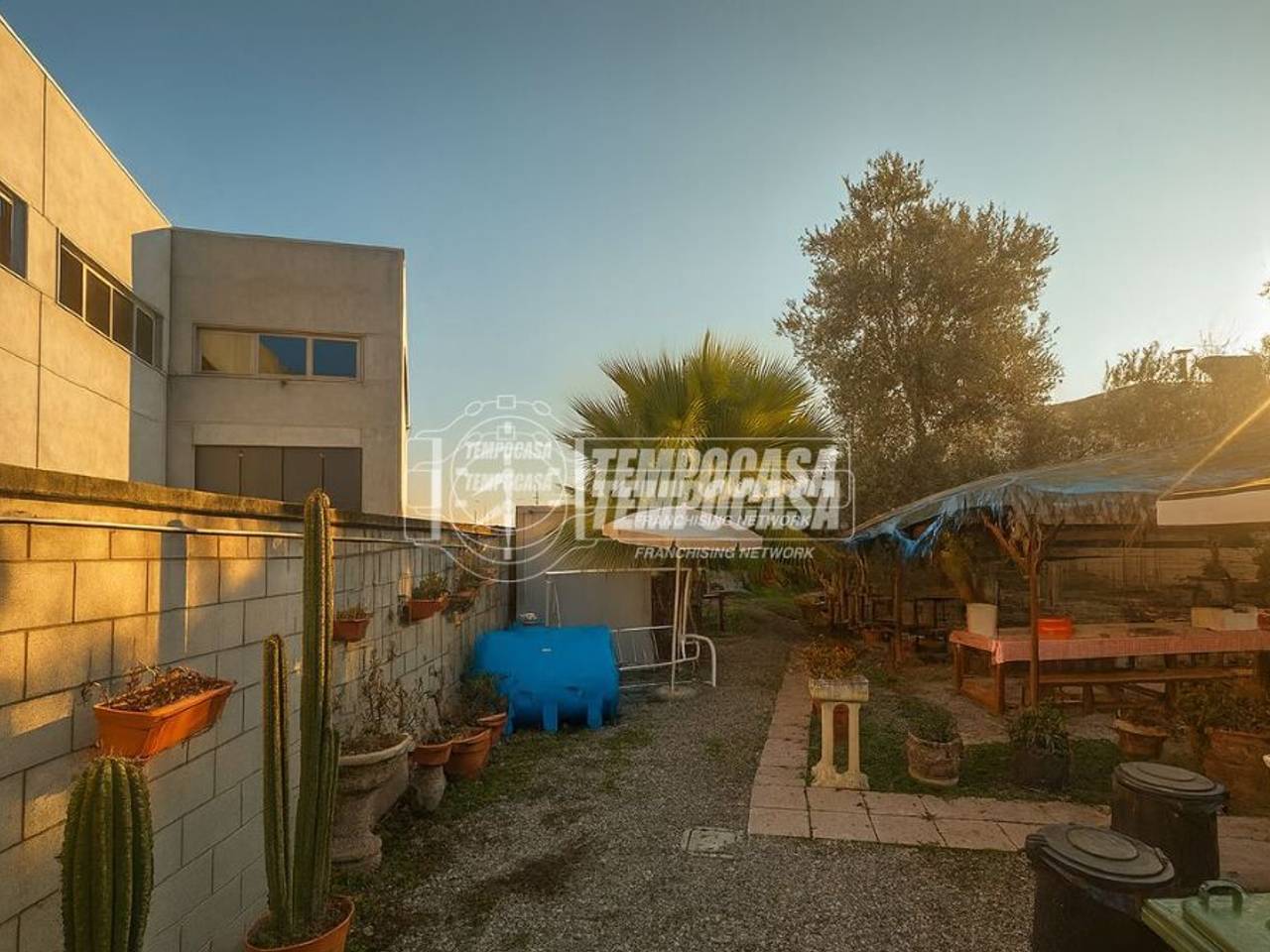 immagine annuncio 3 di 6