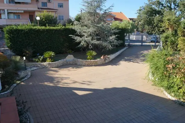 insertion image