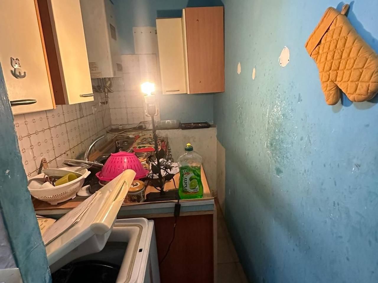 immagine annuncio 5 di 12