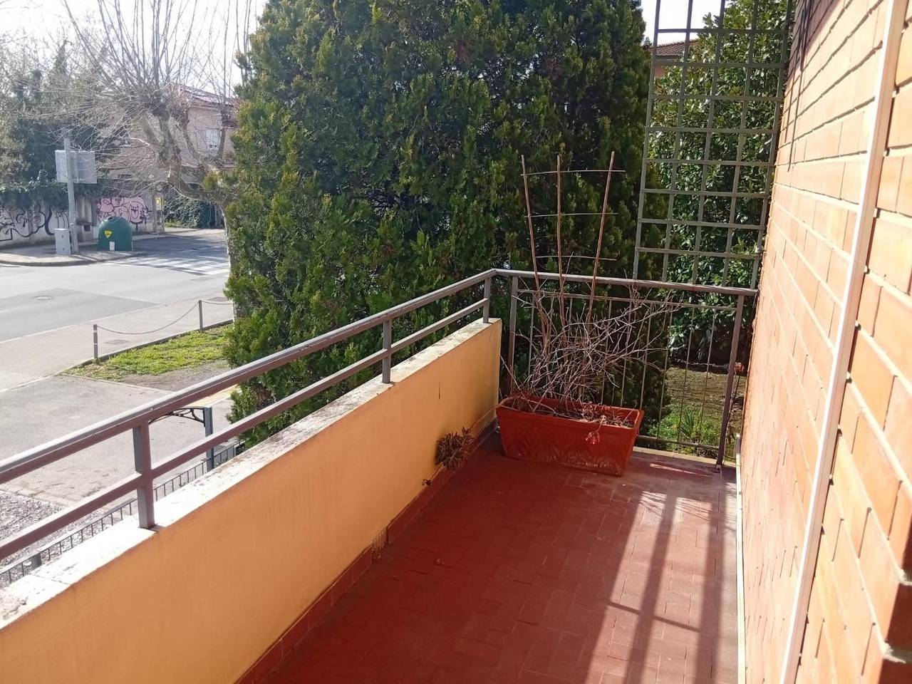 immagine annuncio 2 di 12