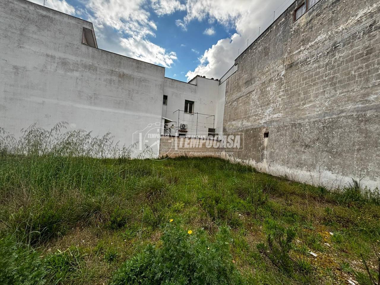 immagine annuncio 6 di 12