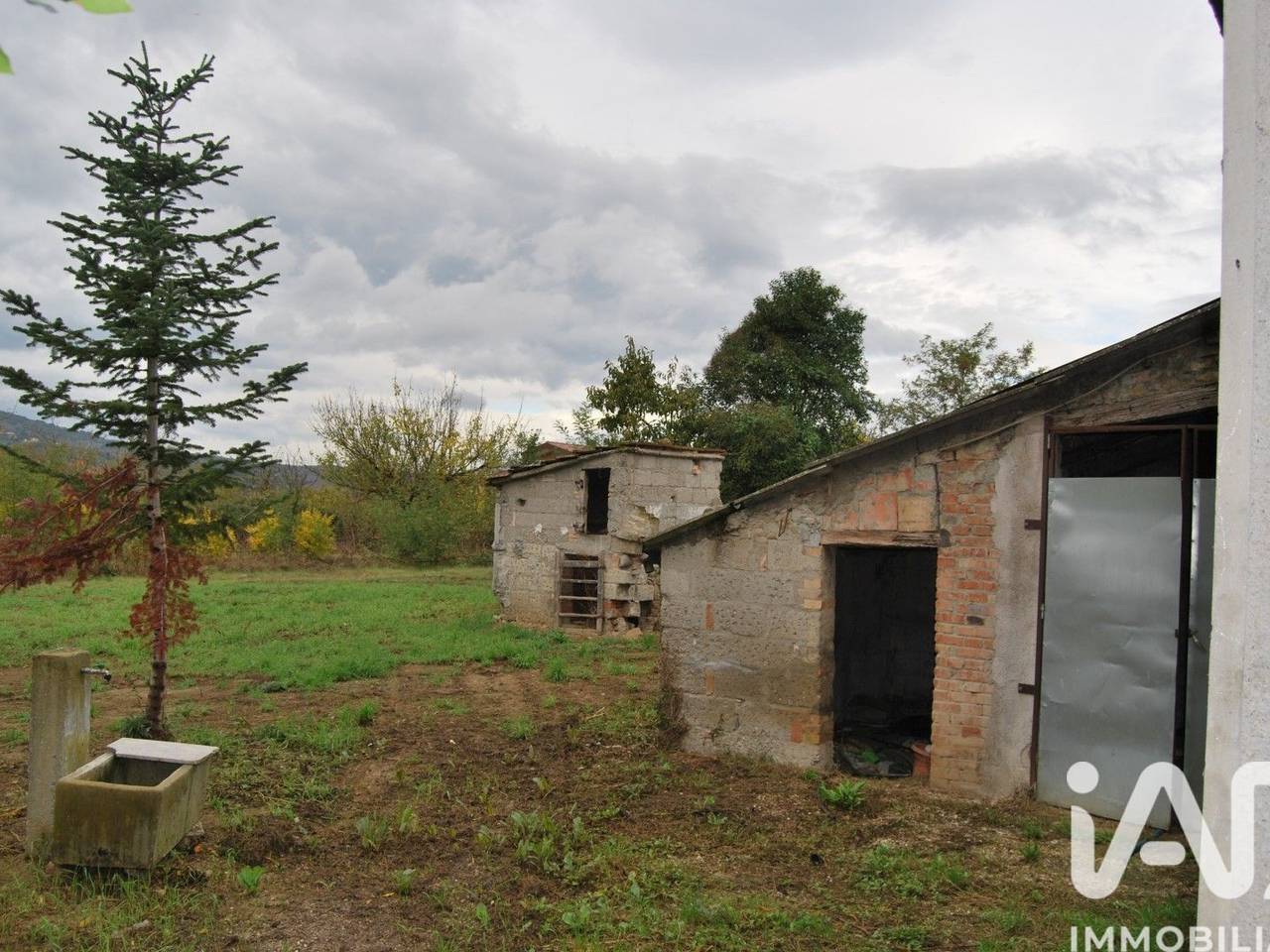 immagine annuncio 10 di 14