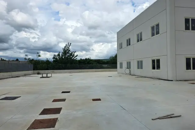 insertion image