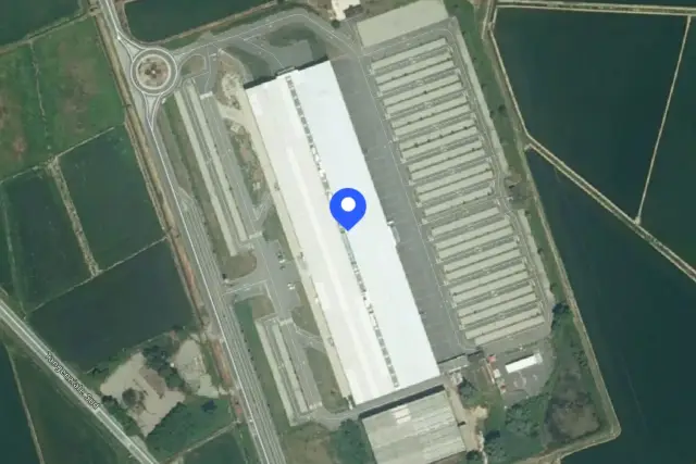 insertion image