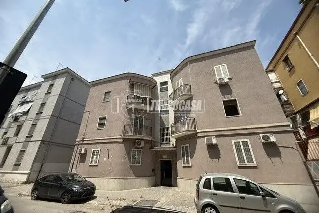 insertion image