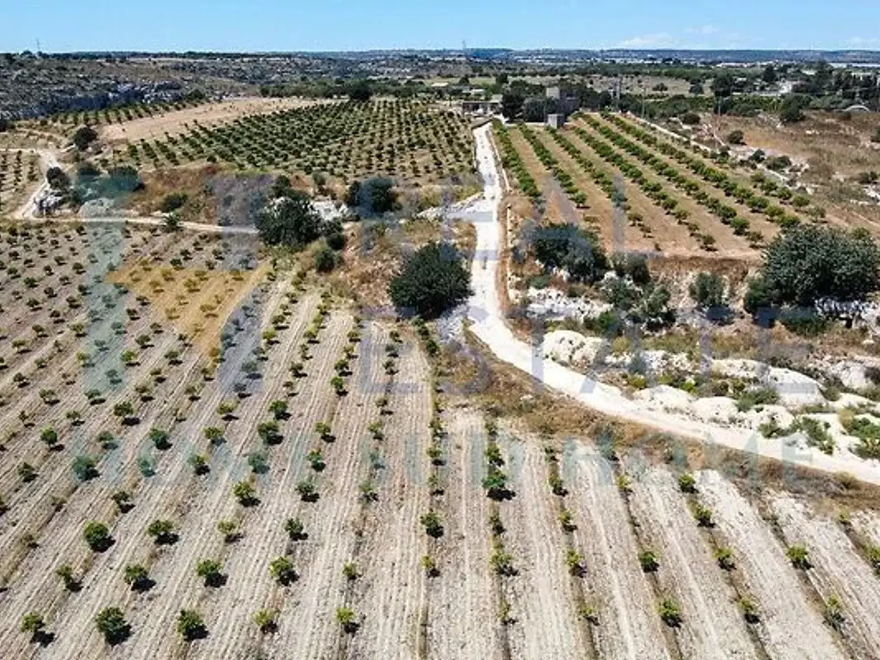 Azienda agricola in Noto, Piazza Armerina, {3} - Foto 2