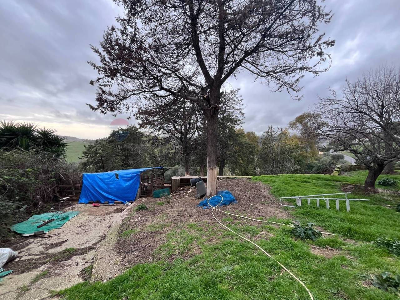 immagine annuncio 9 di 13