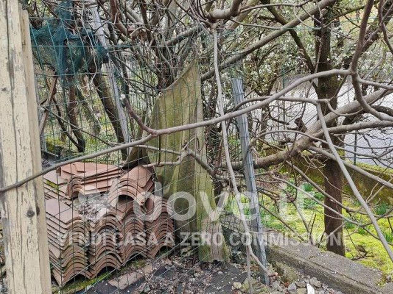 immagine annuncio 8 di 14