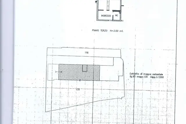 insertion image
