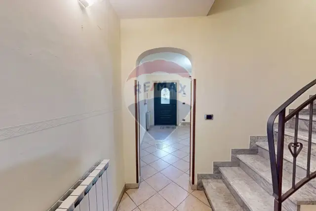 insertion image
