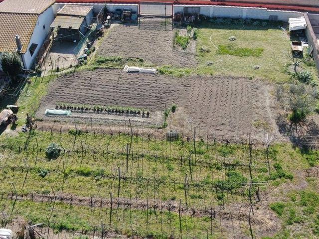 Building land in Via Italo Raulich, Fiumicino - Photo 1