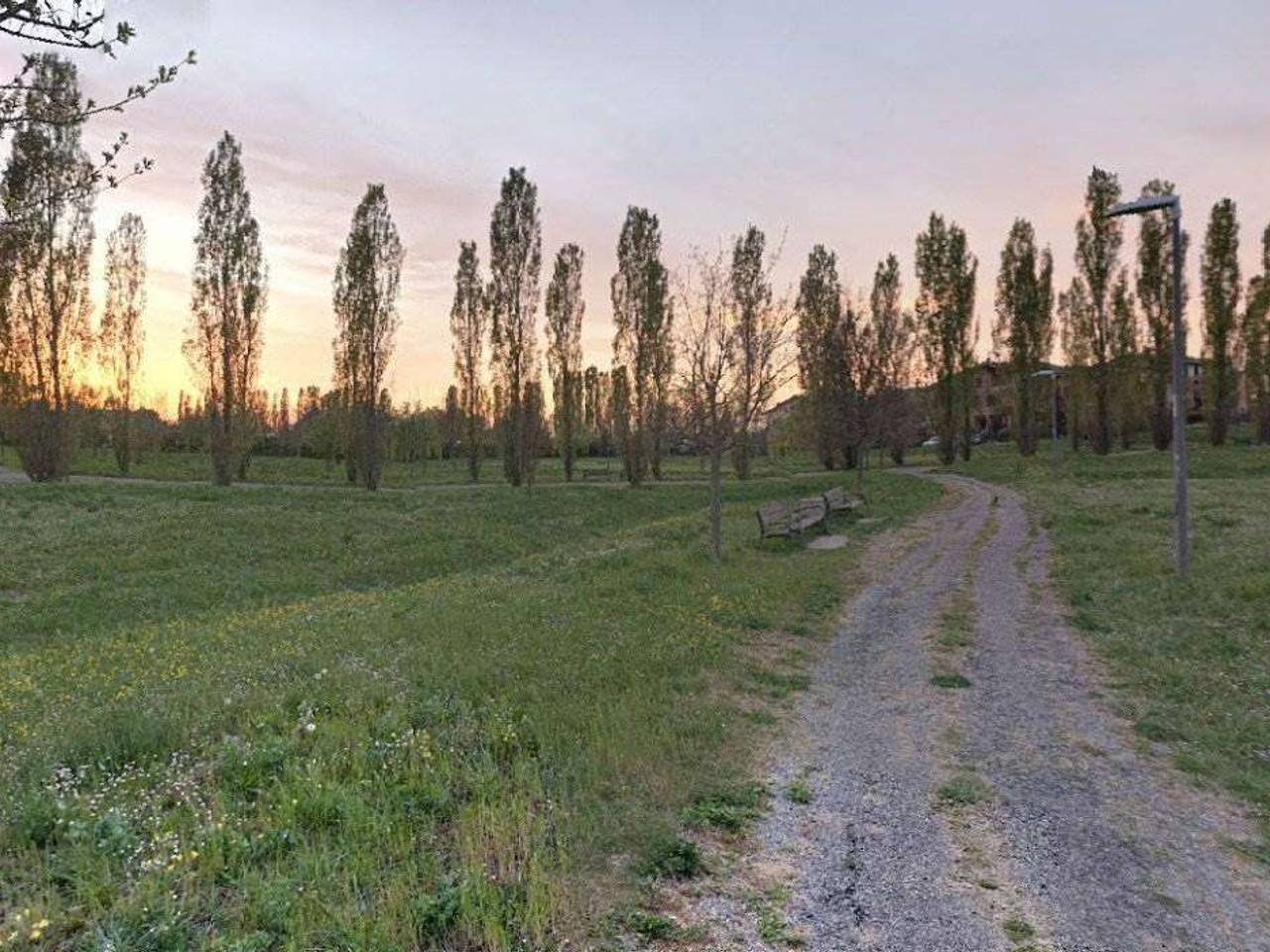 immagine annuncio 4 di 8