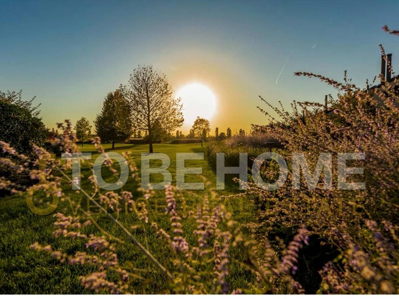 casa indipendente in vendita a Castelfranco Veneto in zona Salvarosa