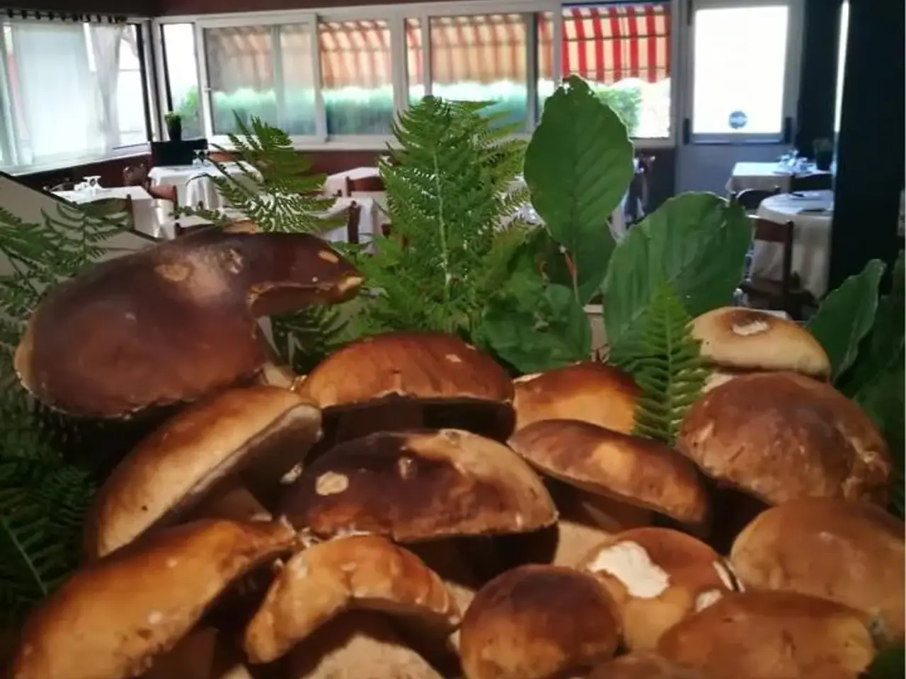 Pizzeria in  Trana, Trana, {3} - Foto 2