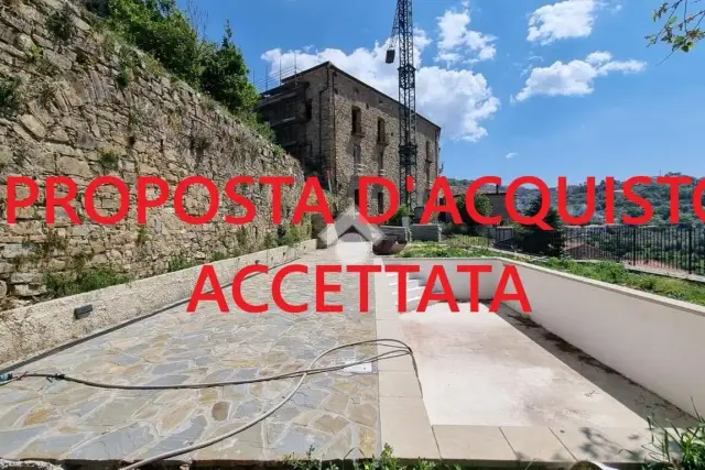 insertion image