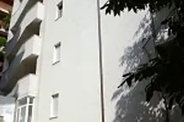 insertion image
