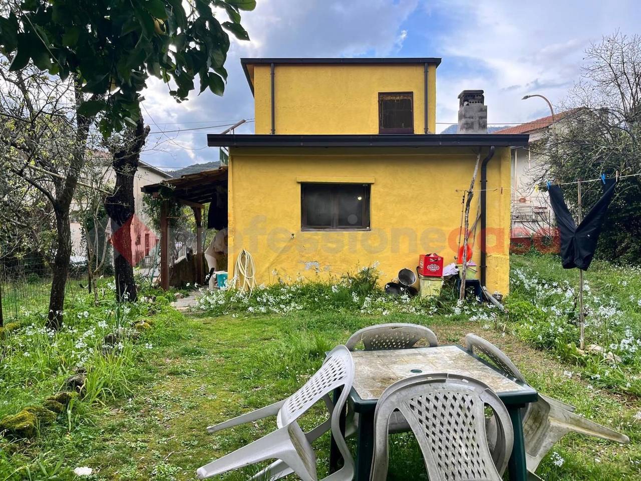 immagine annuncio 3 di 8