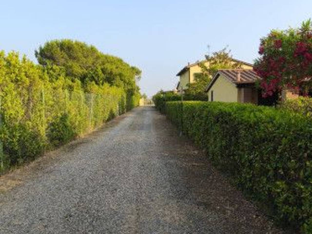 immagine annuncio 3 di 12