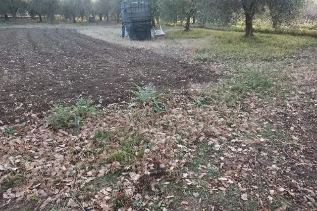 Terreno edificabile, Poggio Torriana - Foto 1