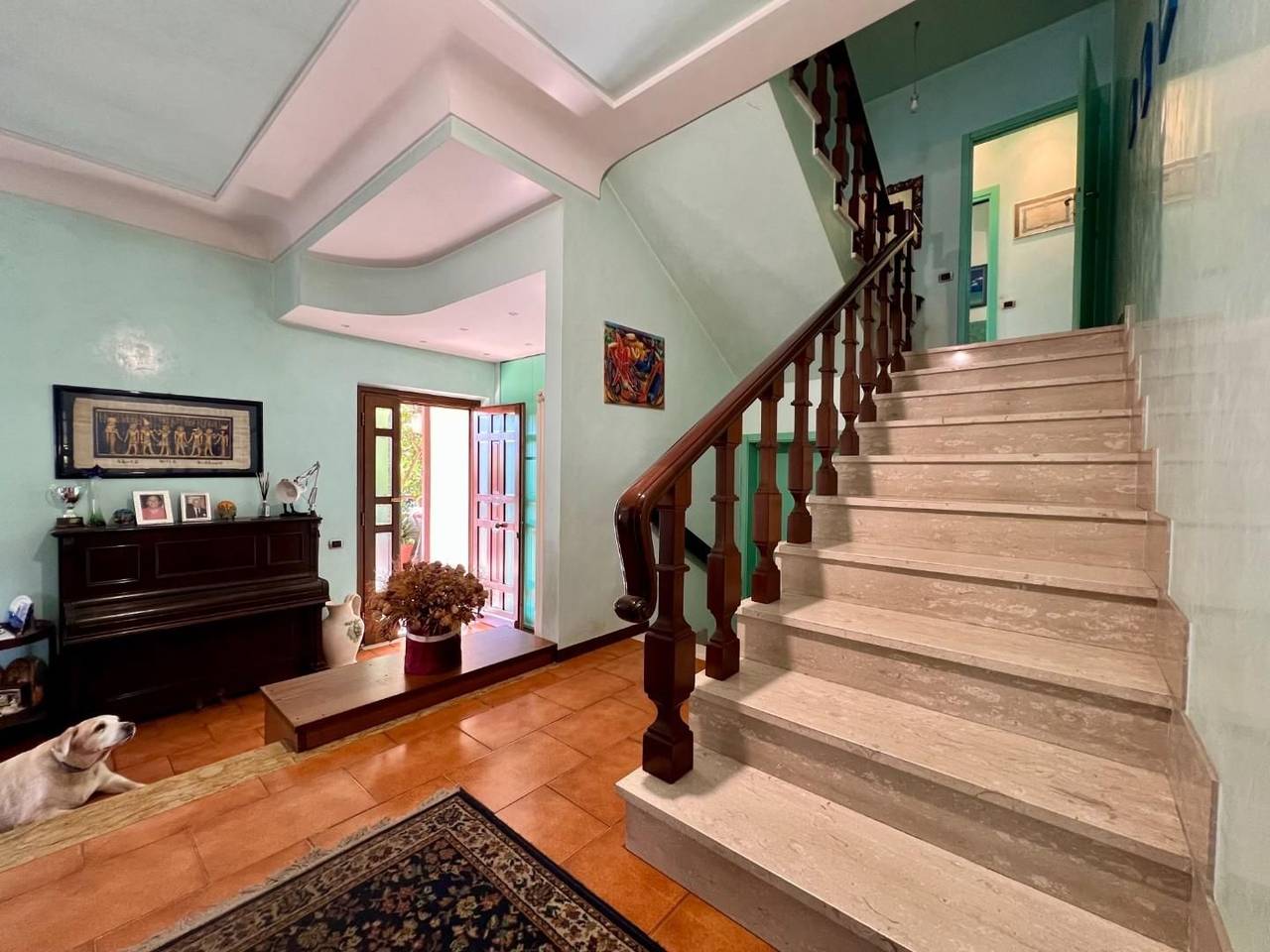 immagine annuncio 9 di 15