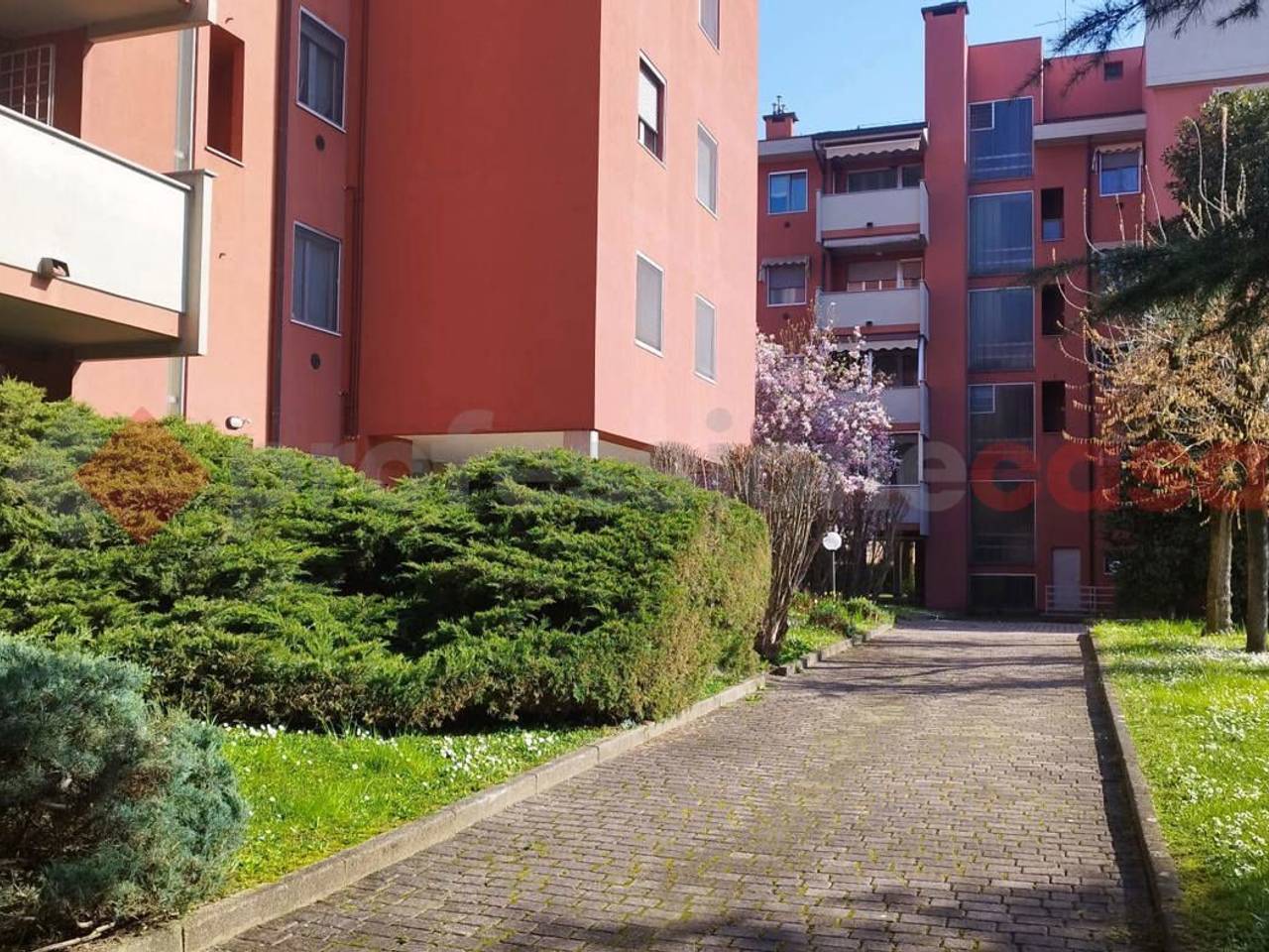 immagine annuncio 3 di 7