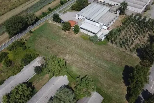 insertion image