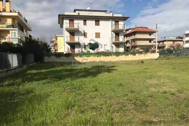insertion image