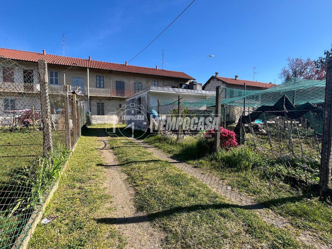 immagine annuncio 1 di 11