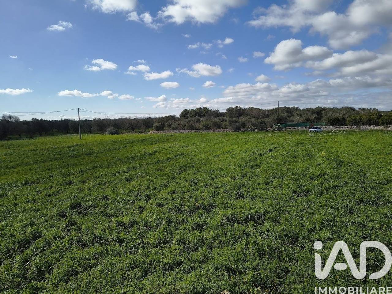 immagine annuncio 7 di 8