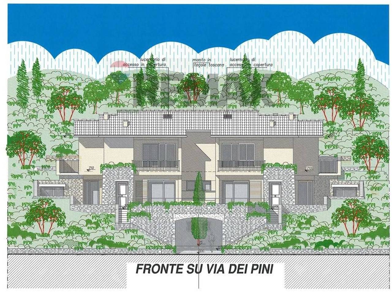 immagine annuncio 5 di 14