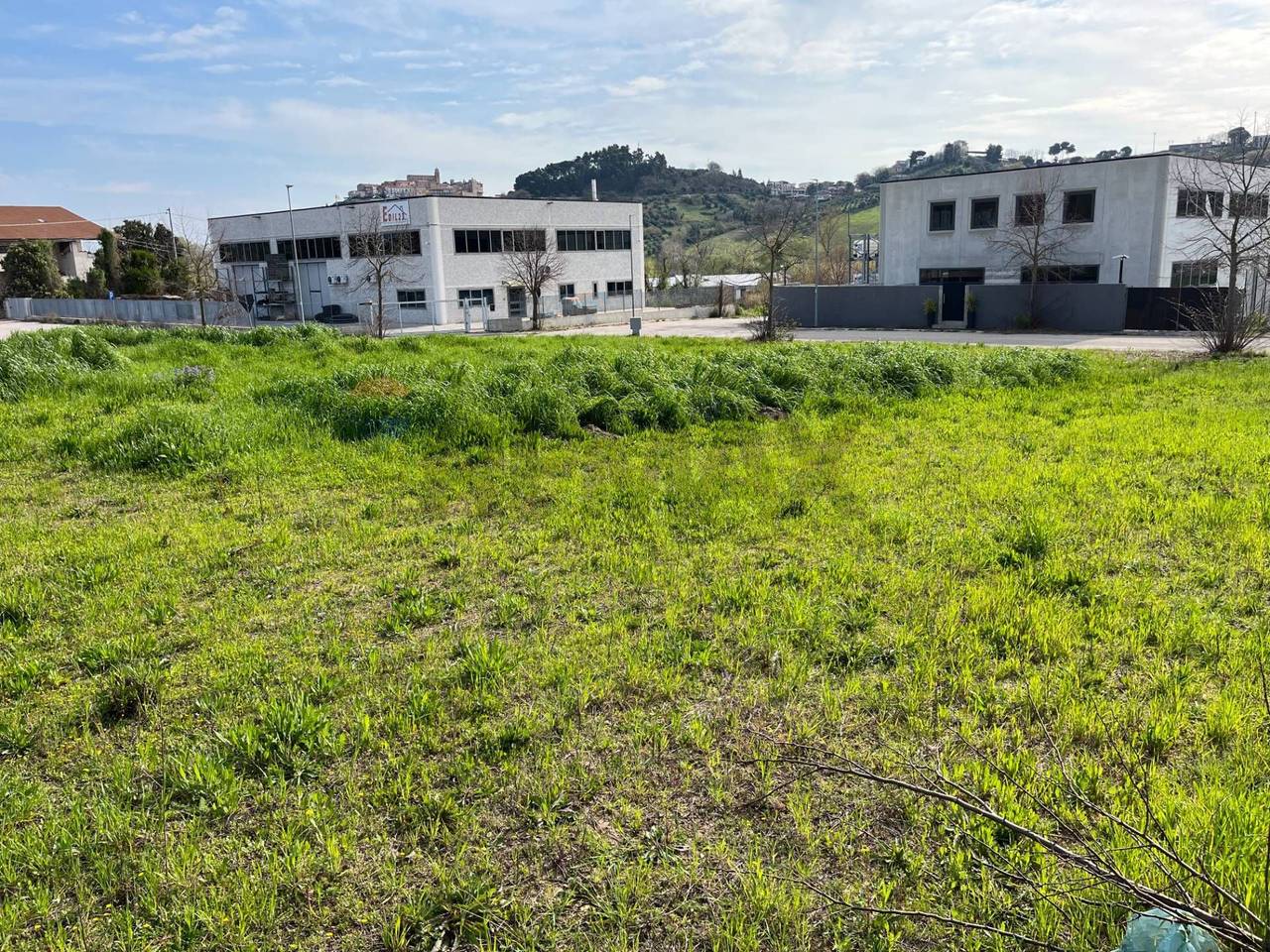 immagine annuncio 3 di 8