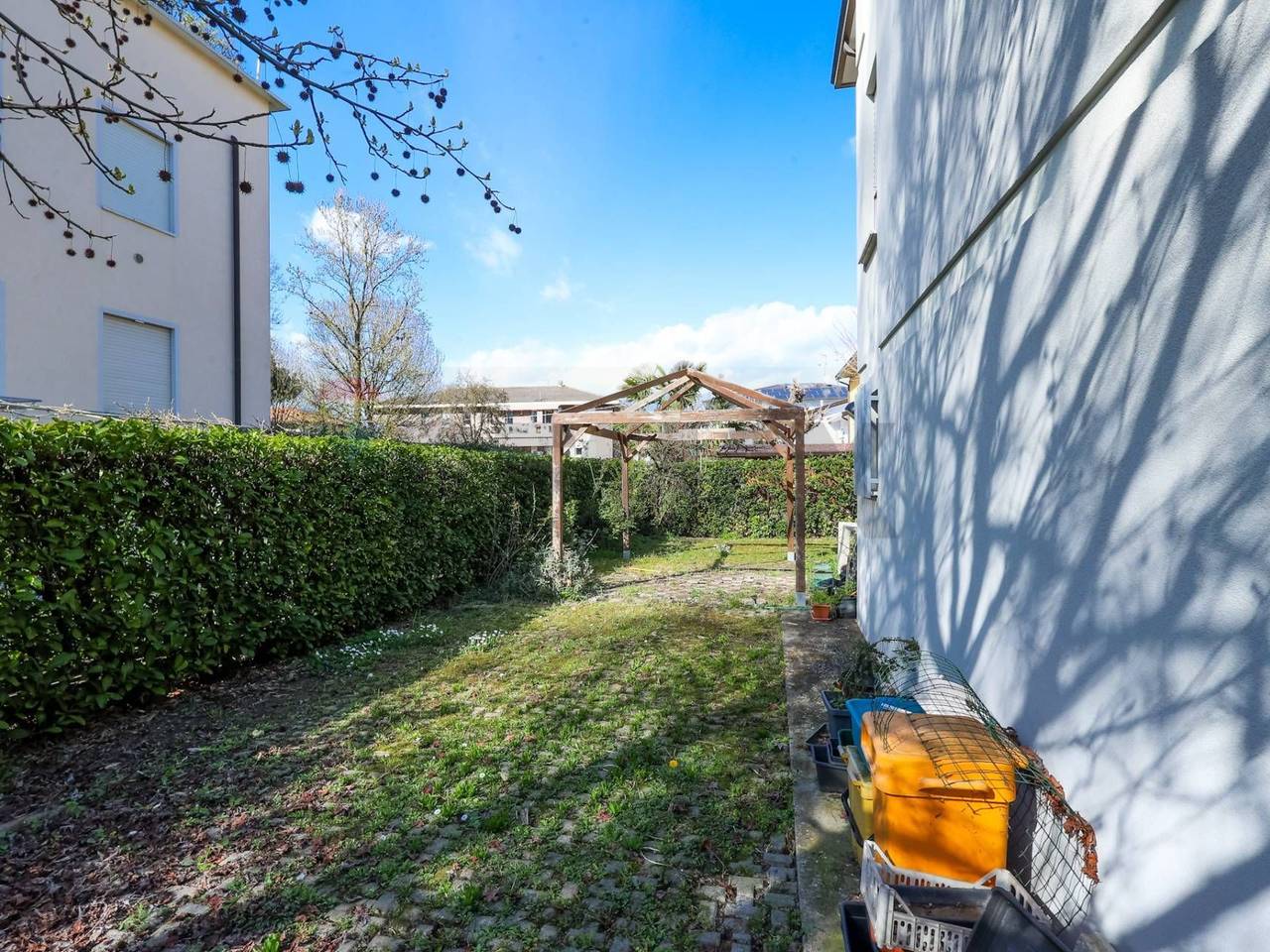 immagine annuncio 11 di 14