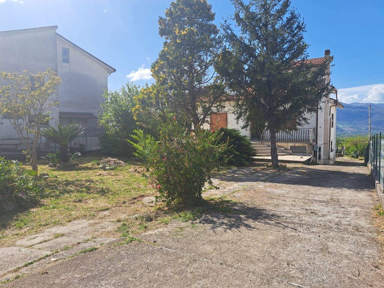 immagine annuncio 4 di 8