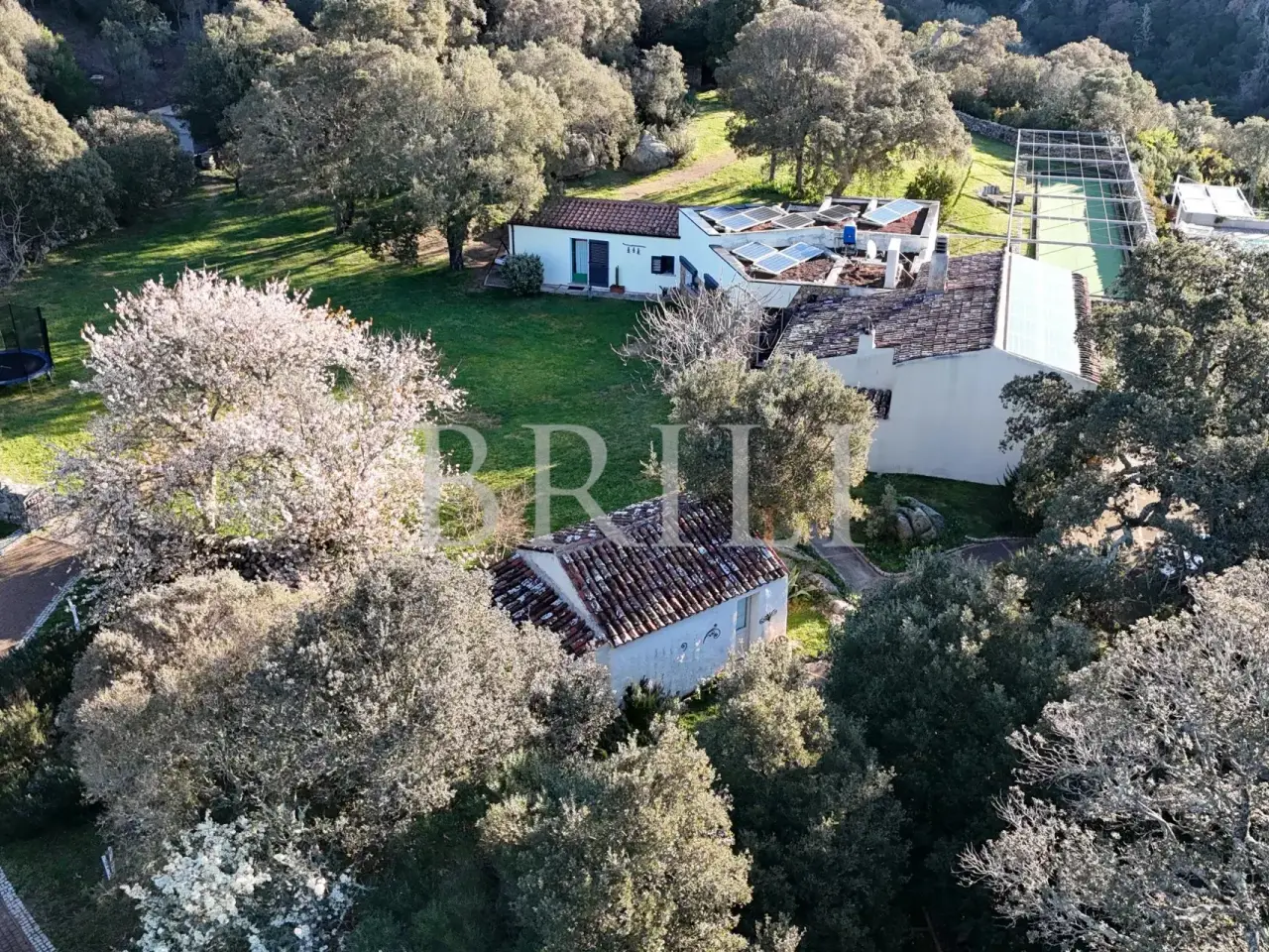 Azienda agricola in San Biagio, Aglientu, {3} - Foto 2