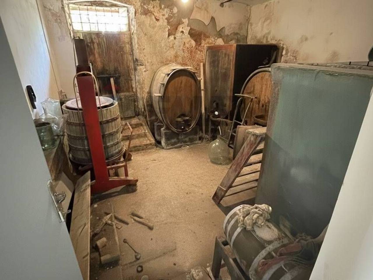 immagine annuncio 10 di 11