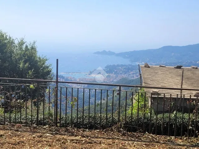 Villa in Via alla Crocetta 24, Rapallo - Foto 1