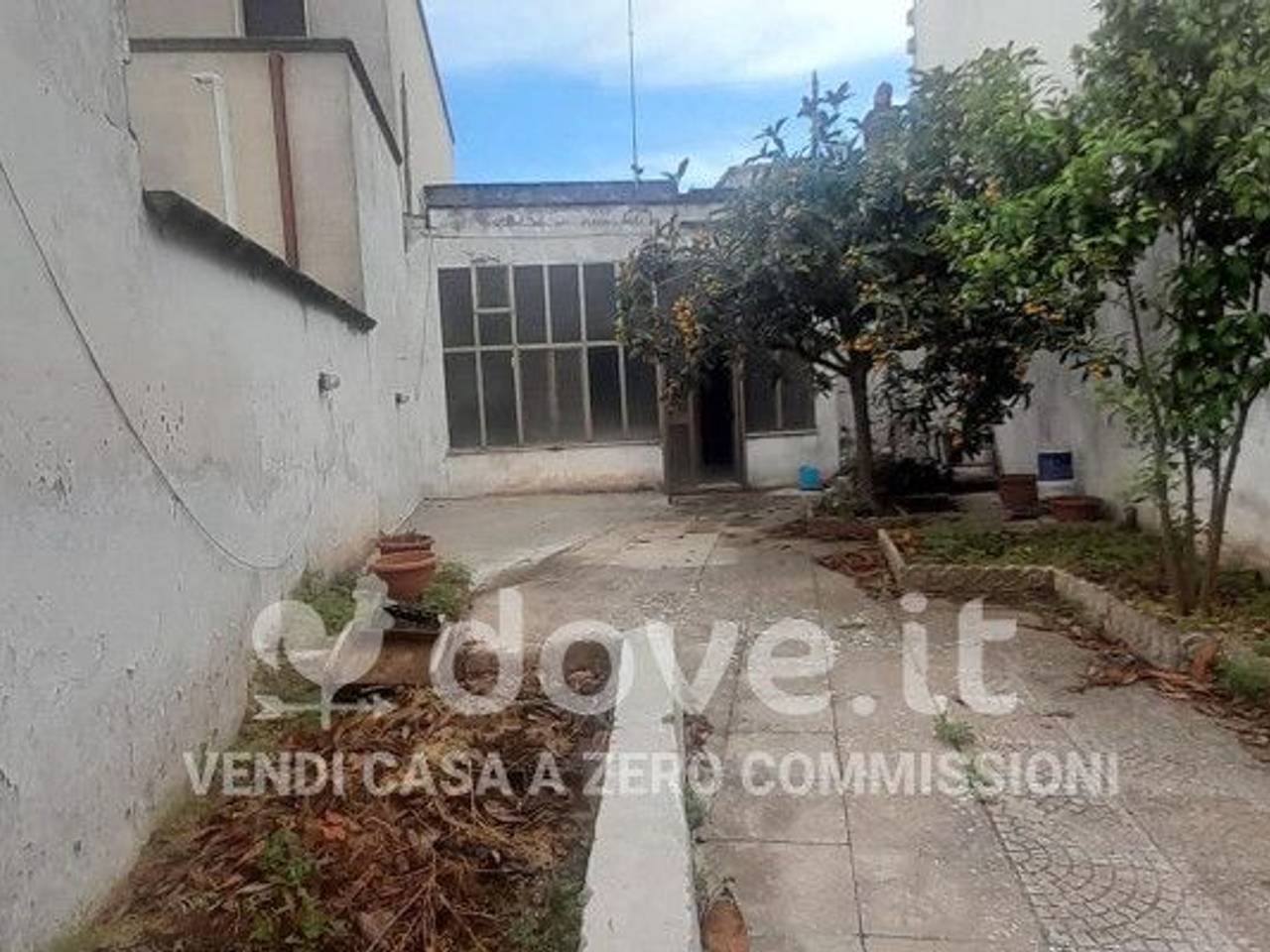 immagine annuncio 9 di 12