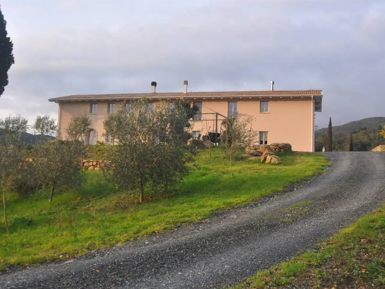 Azienda agricola in Via Domenico Francesco Falcucci, Livorno, {3} - Foto 2