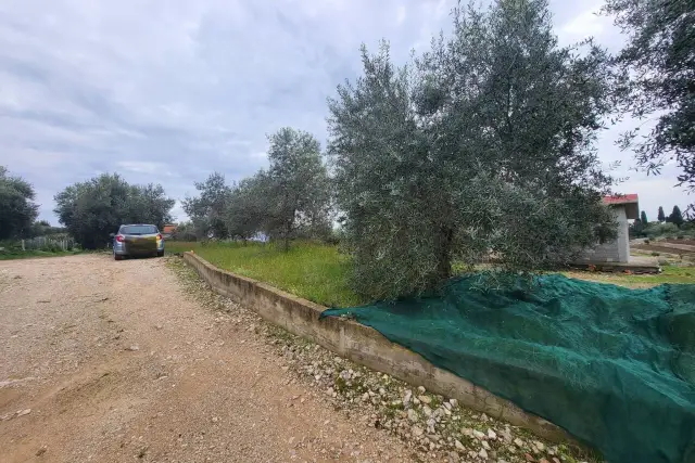 Agricultural land, Gaeta - Photo 1