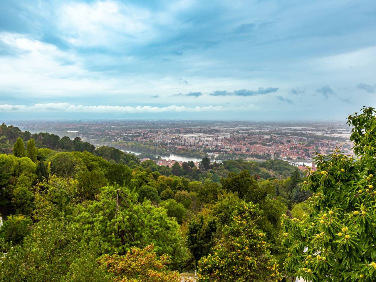 immagine annuncio 8 di 13