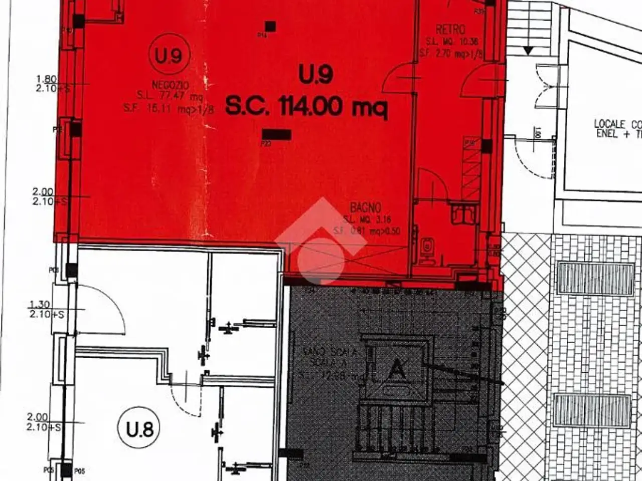 Negozio in Via Luigi Cadorna 24, Crema, {3} - Planimetria 1
