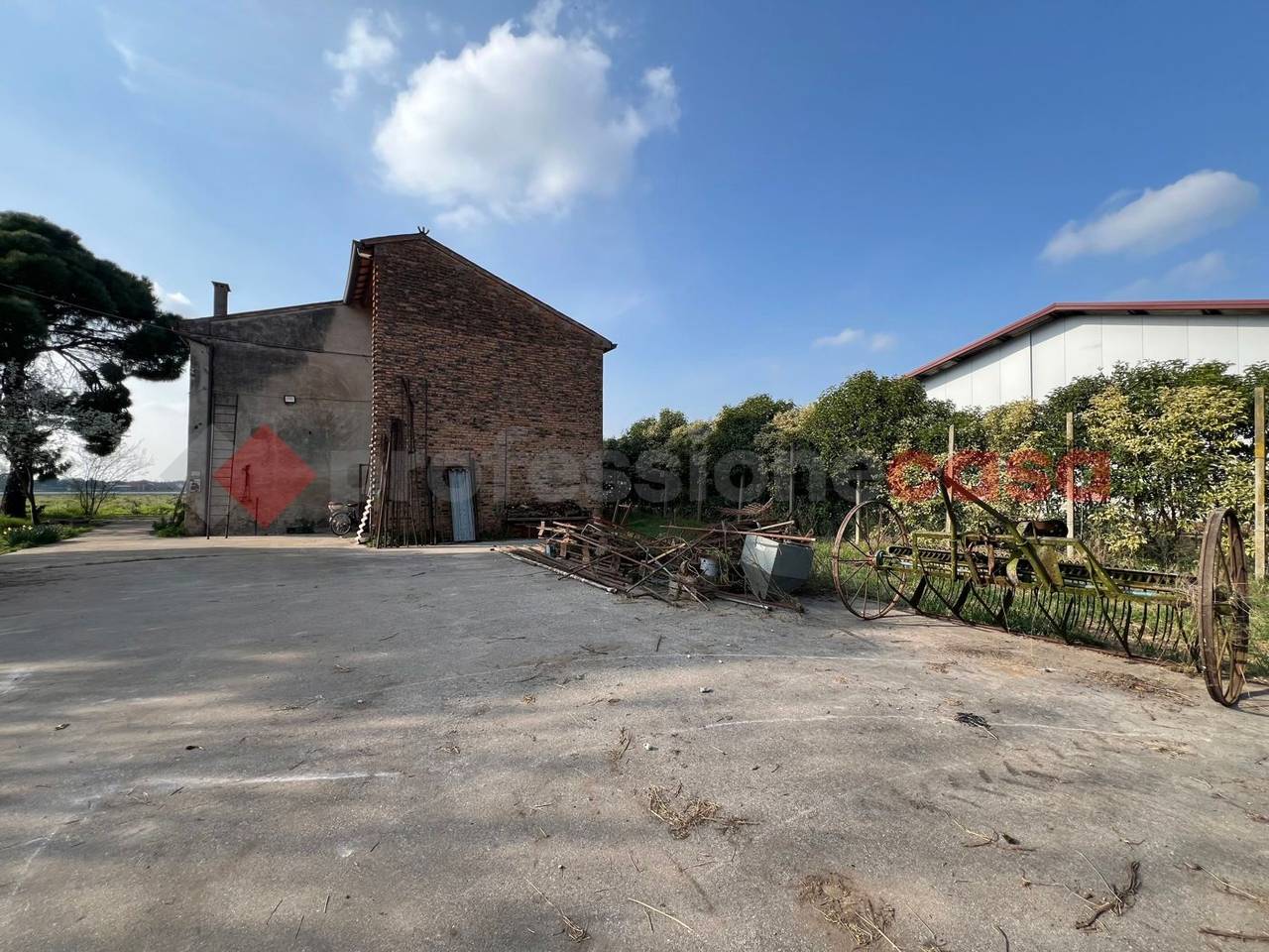 immagine annuncio 12 di 14