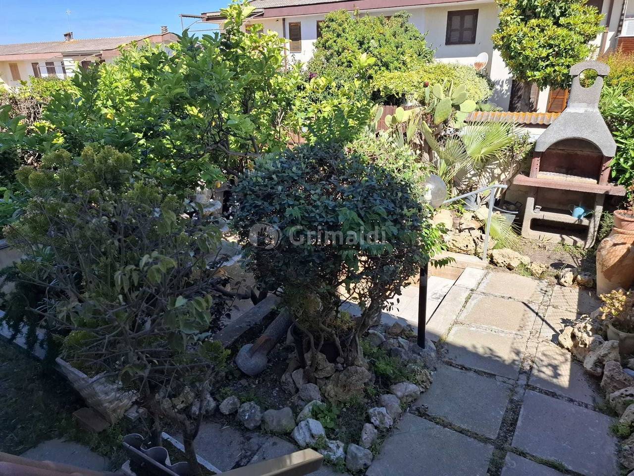 immagine annuncio 11 di 15