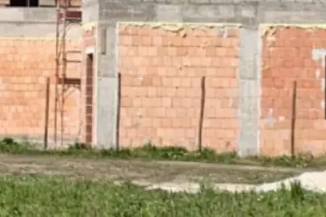 insertion image