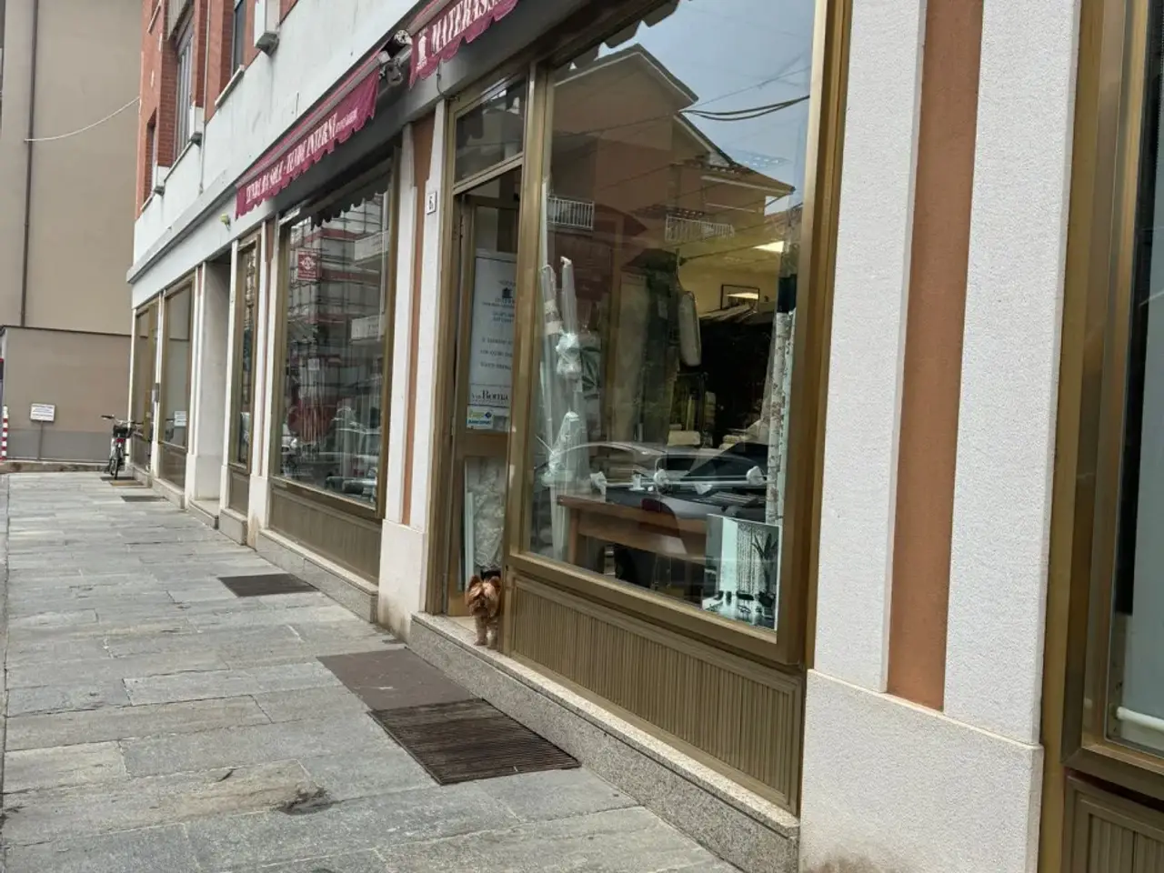 Negozio in Via Aldo Moro, Alba, {3} - Foto 2