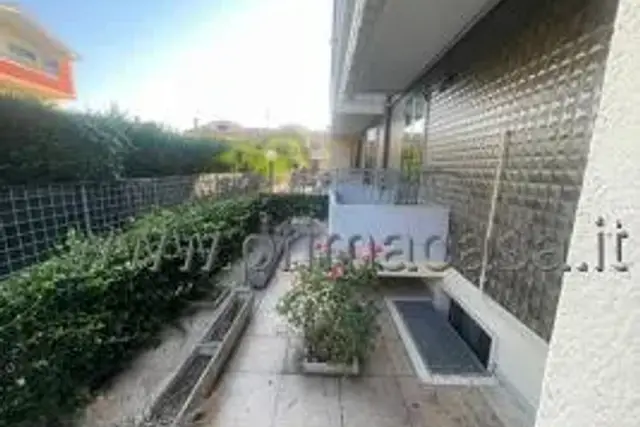 insertion image