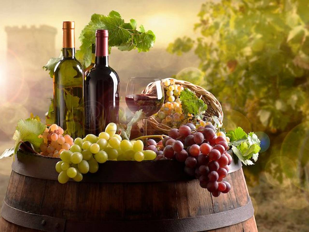 immagine annuncio 5 di 6