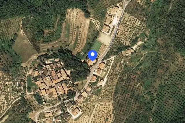 insertion image