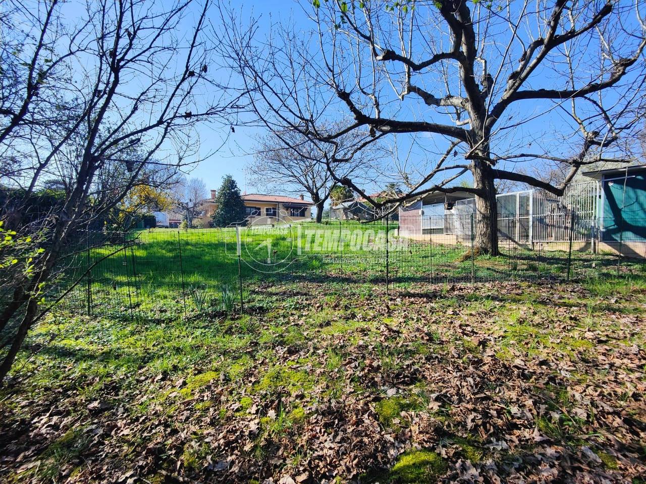 immagine annuncio 10 di 12